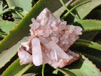 Natural White Quartz Crystal Clusters x 4 From Madagascar