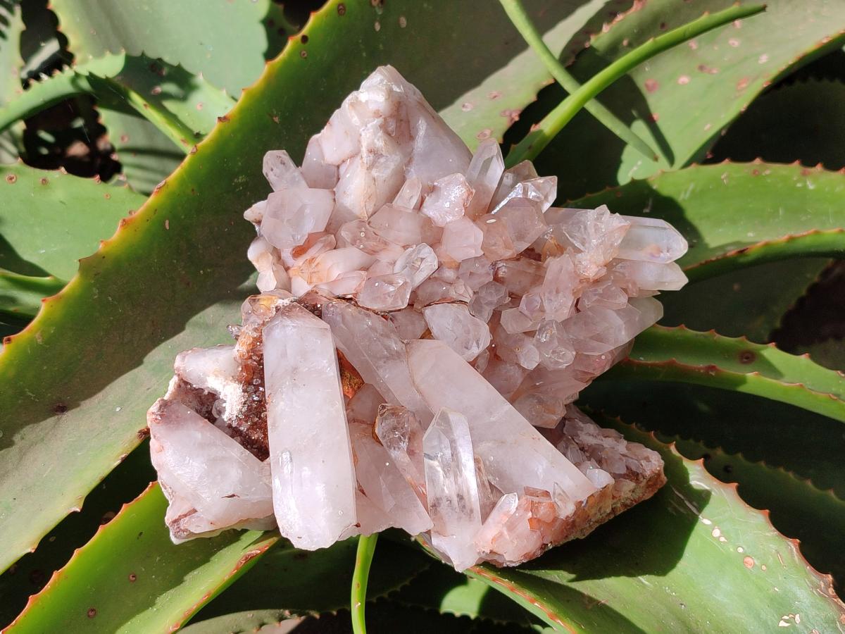 Natural White Quartz Crystal Clusters x 4 From Madagascar
