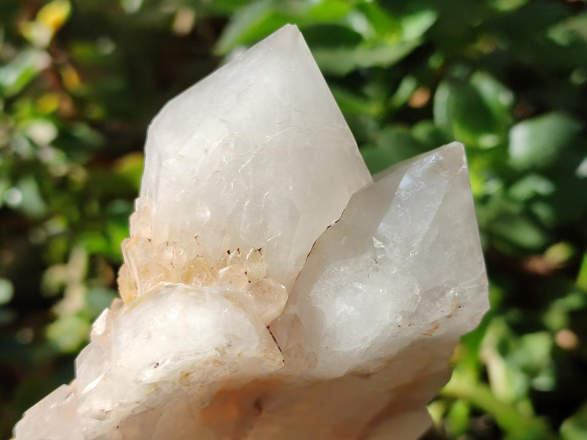 Natural White Quartz Crystal Clusters x 4 From Madagascar