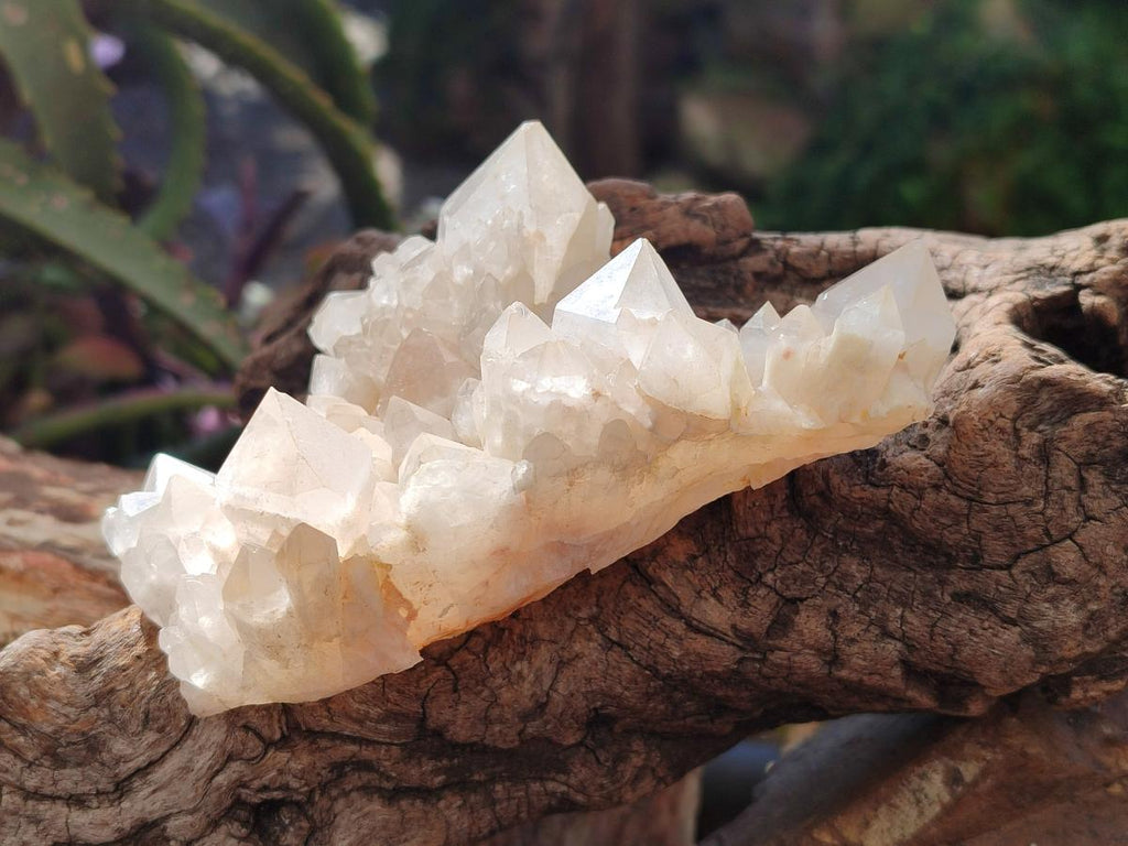 Natural White Quartz Crystal Clusters x 4 From Madagascar