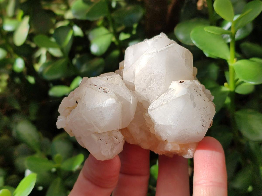Natural White Quartz Crystal Clusters x 4 From Madagascar