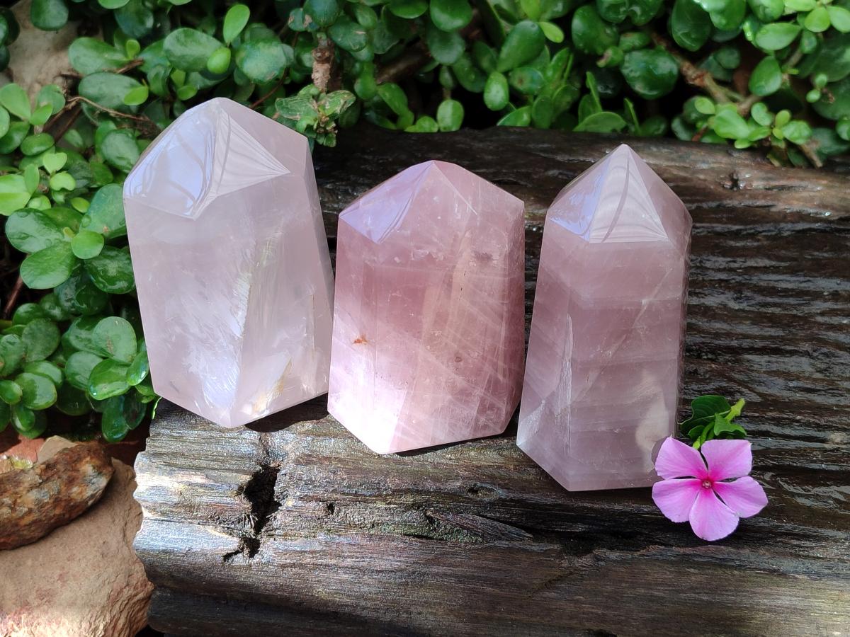 Polished Gemmy Rose Quartz Crystals x 3 From Madagascar