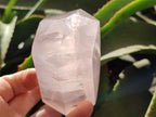Polished Gemmy Rose Quartz Crystals x 3 From Madagascar