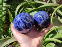 Polished Sodalite Spheres x 2 From Kunene River, Namibia