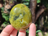 Polished Green Opal Galets x 12 From Antsirabe, Madagascar