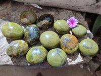 Polished Green Opal Galets x 12 From Antsirabe, Madagascar