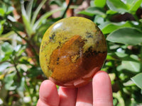 Polished Green Opal Galets x 12 From Antsirabe, Madagascar