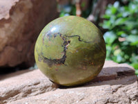 Polished Green Opal Galets x 12 From Antsirabe, Madagascar