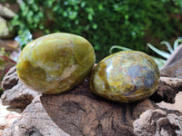 Polished Green Opal Galets x 12 From Antsirabe, Madagascar