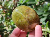 Polished Green Opal Galets x 12 From Antsirabe, Madagascar