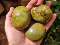 Polished Green Opal Galets x 12 From Antsirabe, Madagascar