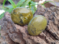 Polished Green Opal Galets x 12 From Antsirabe, Madagascar