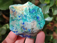 Natural Azurite And Malachite On Dolomite Specimens x 12 From Kaokoveld, Namibia