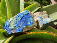 Natural Azurite And Malachite On Dolomite Specimens x 12 From Kaokoveld, Namibia