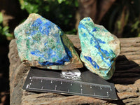 Natural Azurite And Malachite On Dolomite Specimens x 12 From Kaokoveld, Namibia