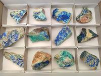 Natural Azurite And Malachite On Dolomite Specimens x 12 From Kaokoveld, Namibia