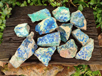 Natural Azurite And Malachite On Dolomite Specimens x 12 From Kaokoveld, Namibia