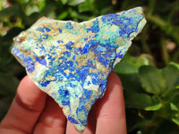 Natural Azurite And Malachite On Dolomite Specimens x 12 From Kaokoveld, Namibia