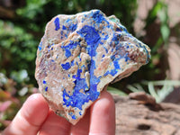 Natural Azurite And Malachite On Dolomite Specimens x 12 From Kaokoveld, Namibia