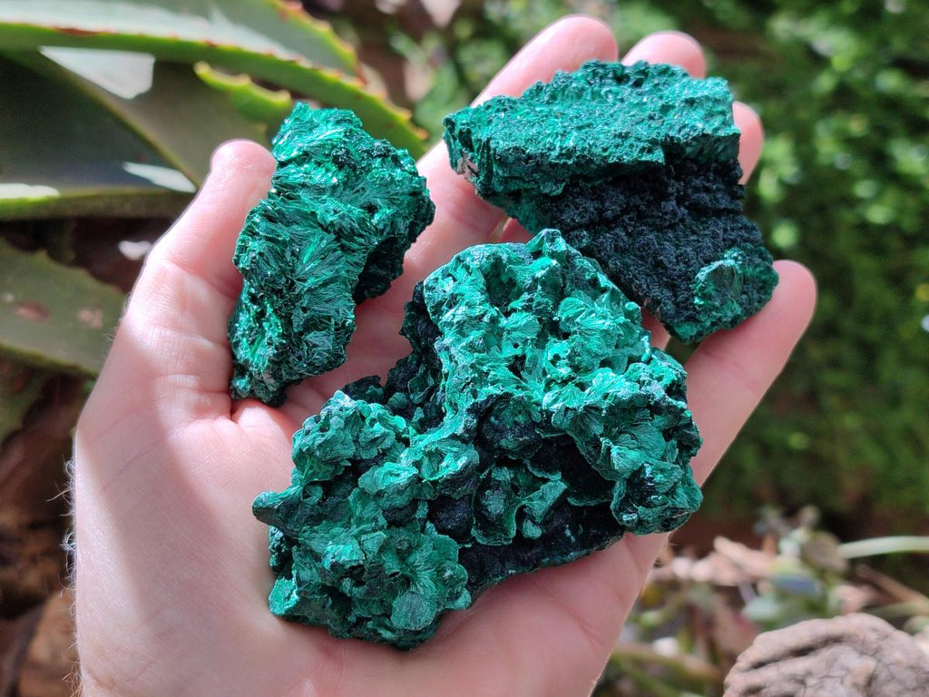 Natural Silky Malachite Specimens x 6 From Kasompe, Congo