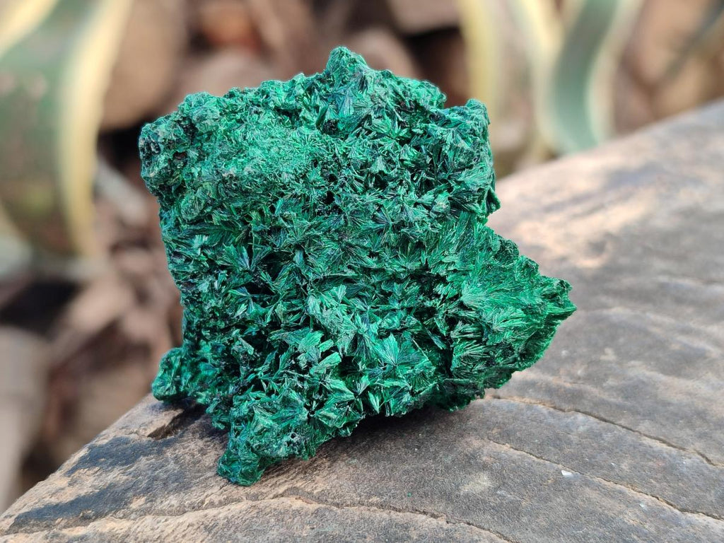 Natural Silky Malachite Specimens x 6 From Kasompe, Congo