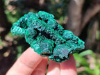 Natural Silky Malachite Specimens x 6 From Kasompe, Congo