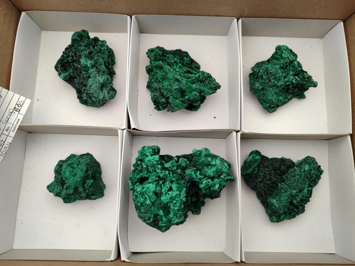 Natural Silky Malachite Specimens x 6 From Kasompe, Congo
