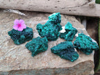 Natural Silky Malachite Specimens x 6 From Kasompe, Congo
