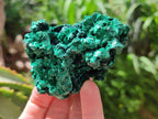 Natural Silky Malachite Specimens x 6 From Kasompe, Congo