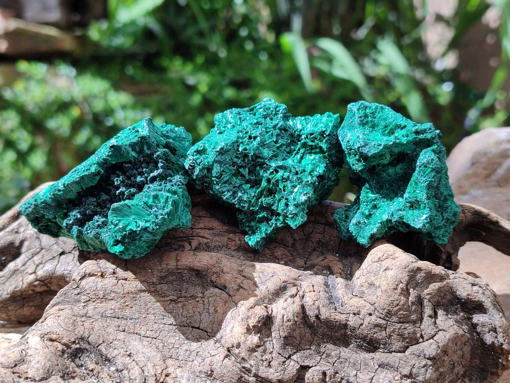 Natural Silky Malachite Specimens x 6 From Kasompe, Congo