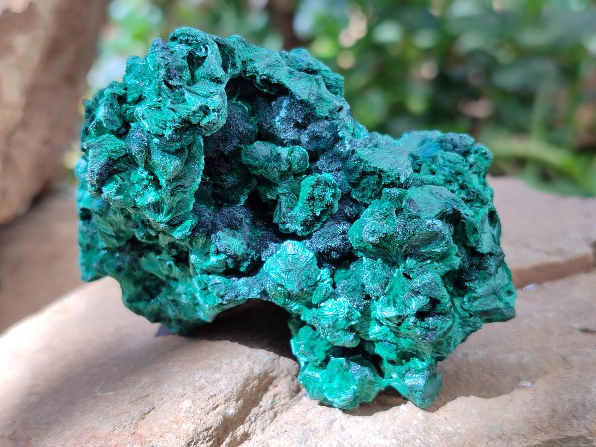 Natural Silky Malachite Specimens x 6 From Kasompe, Congo
