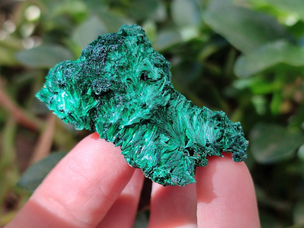 Natural Silky Malachite Specimens x 6 From Kasompe, Congo