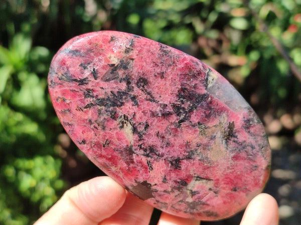 Polished Rhodonite Free Forms x 6 From Rhusinga, Zimbabwe