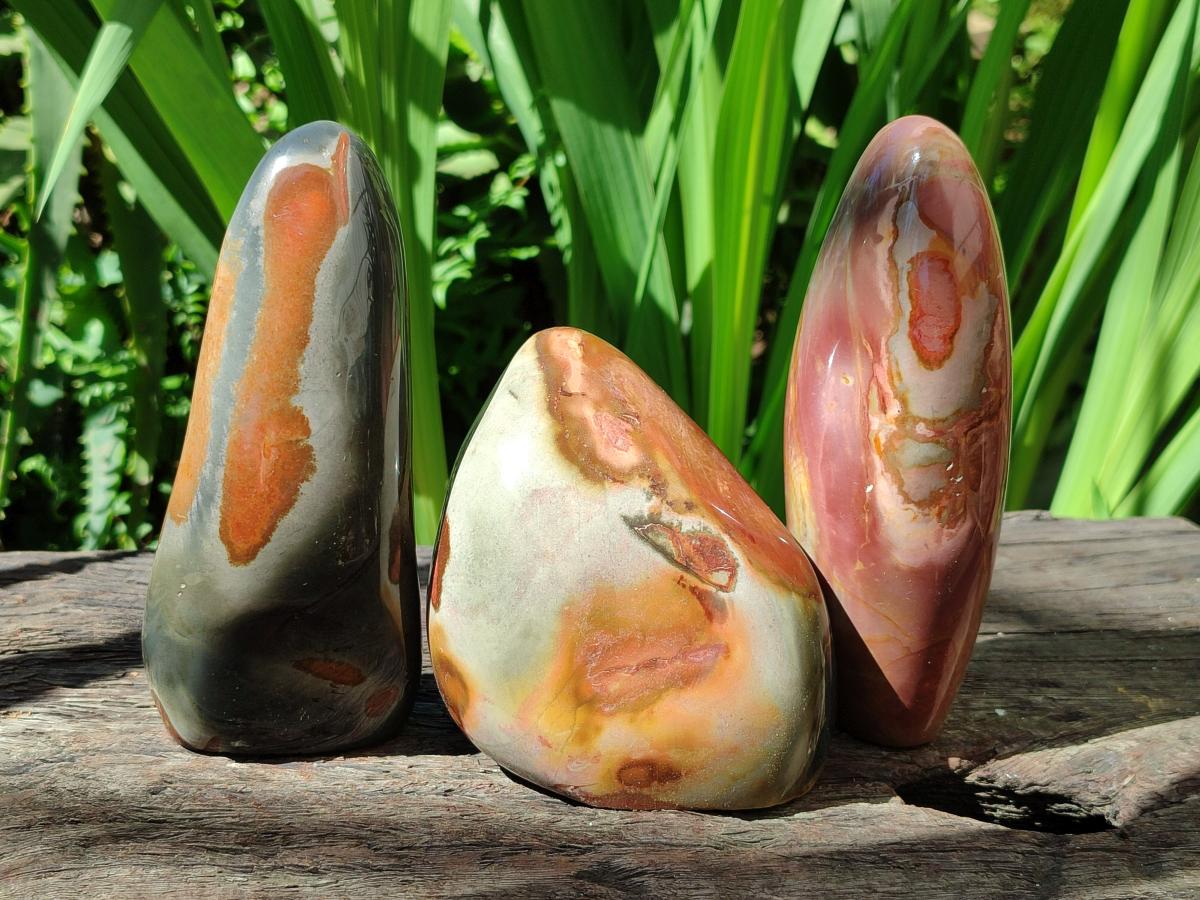 Polished Polychrome Jasper Standing Free Forms x 3 From NW Coast, Madagascar