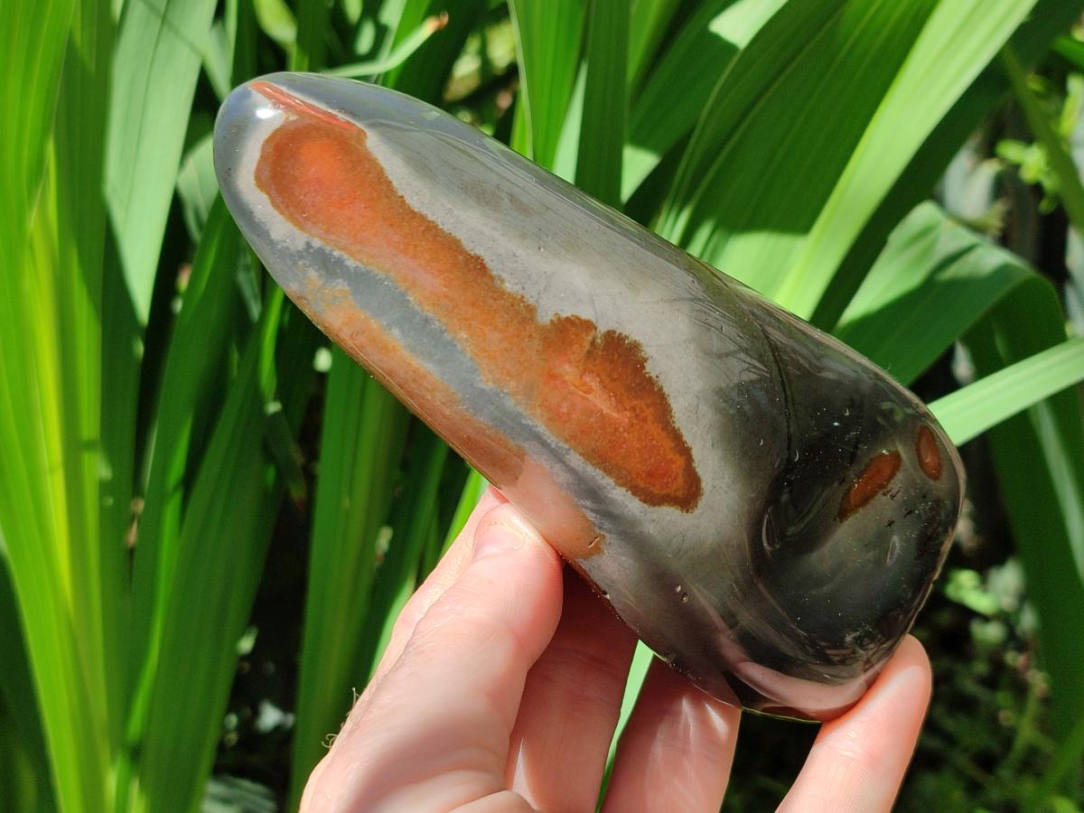 Polished Polychrome Jasper Standing Free Forms x 3 From NW Coast, Madagascar