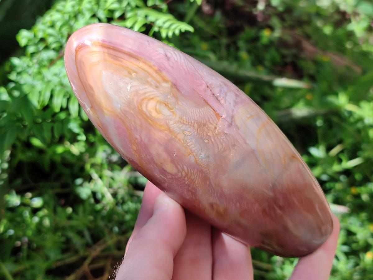 Polished Polychrome Jasper Standing Free Forms x 3 From NW Coast, Madagascar