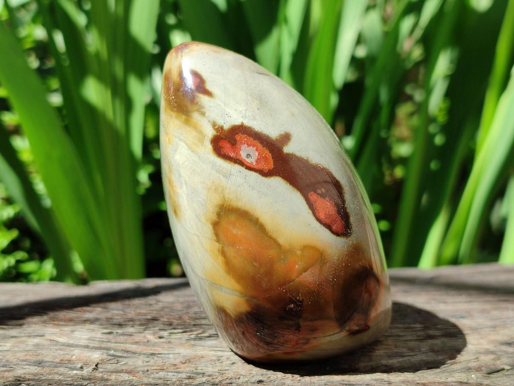 Polished Polychrome Jasper Standing Free Forms x 3 From NW Coast, Madagascar