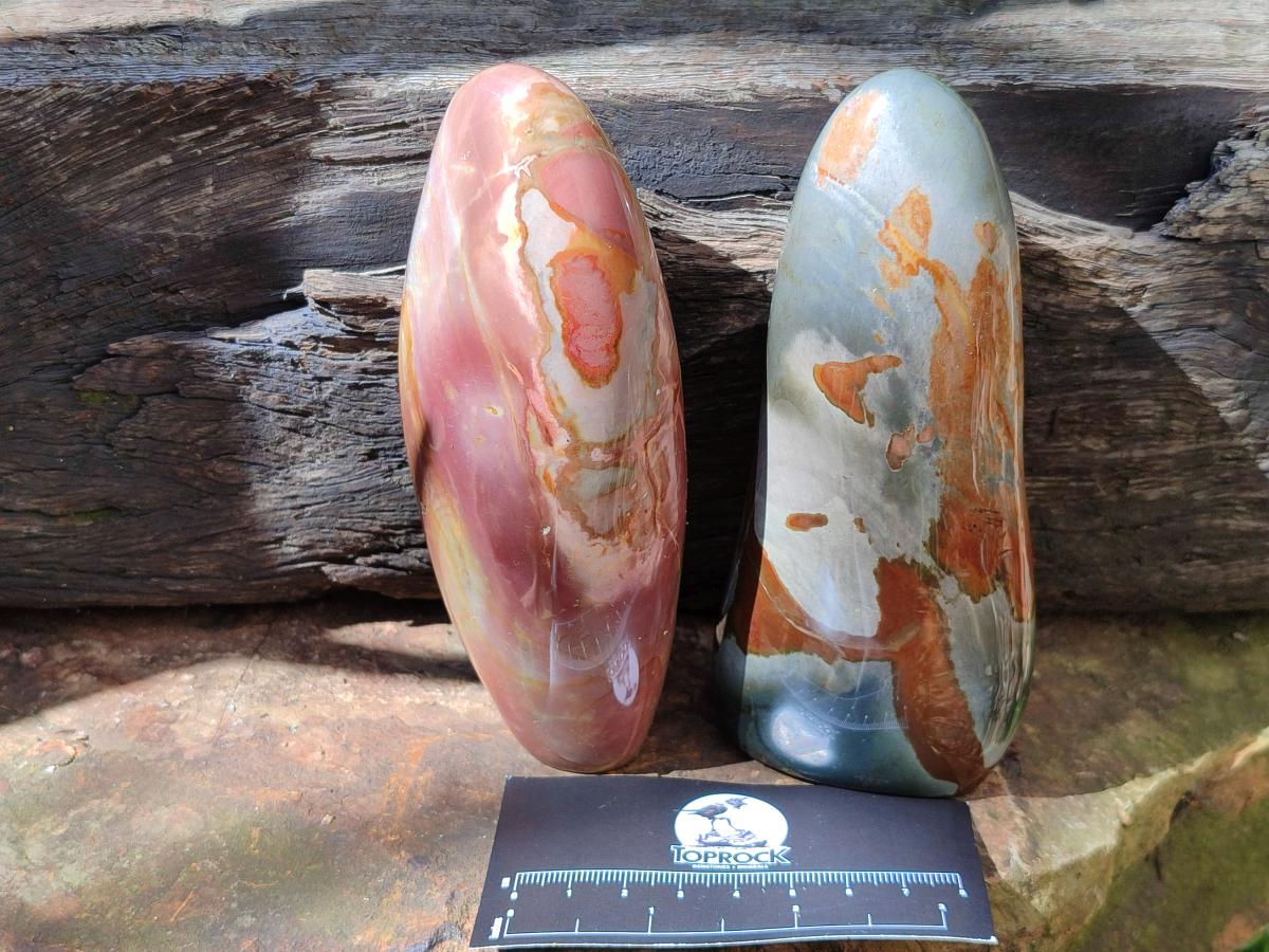 Polished Polychrome Jasper Standing Free Forms x 3 From NW Coast, Madagascar