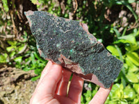 Natural Libethenite Crystals On Dolomite Matrix Specimens x 2 From Shituru, Congo