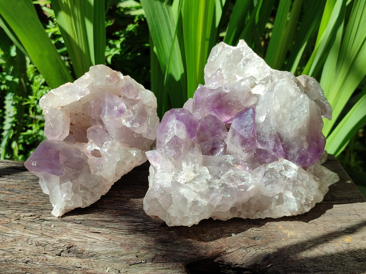 Natural Jacaranda Amethyst Clusters x 2 From Mumbwa, Zambia