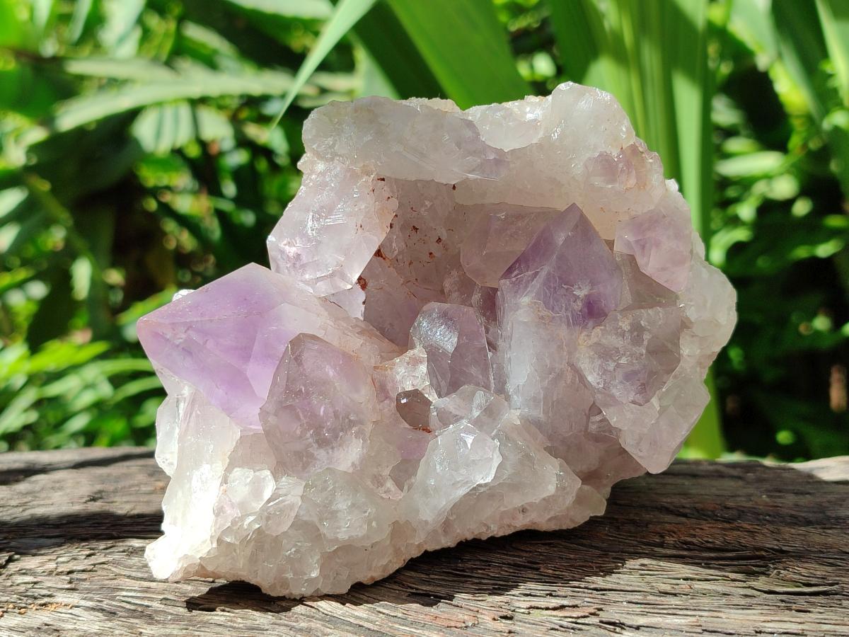 Natural Jacaranda Amethyst Clusters x 2 From Mumbwa, Zambia