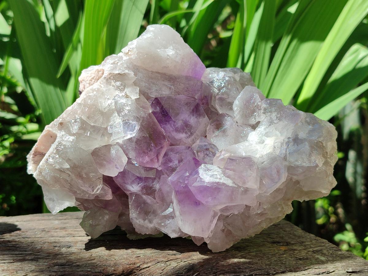 Natural Jacaranda Amethyst Clusters x 2 From Mumbwa, Zambia