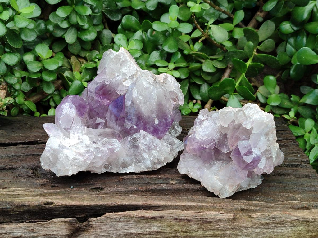 Natural Jacaranda Amethyst Clusters x 2 From Mumbwa, Zambia