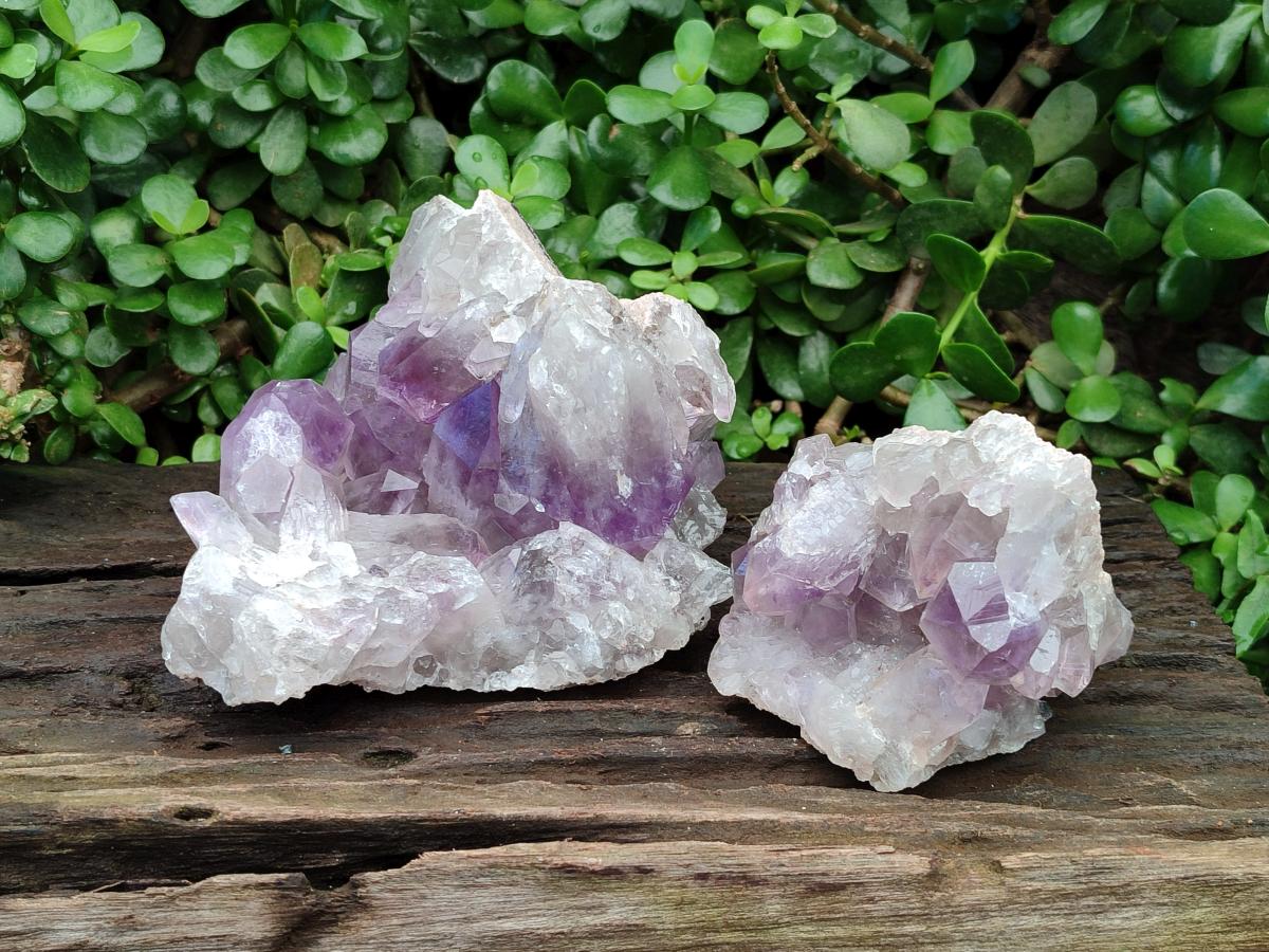 Natural Jacaranda Amethyst Clusters x 2 From Mumbwa, Zambia