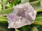 Natural Jacaranda Amethyst Clusters x 2 From Mumbwa, Zambia