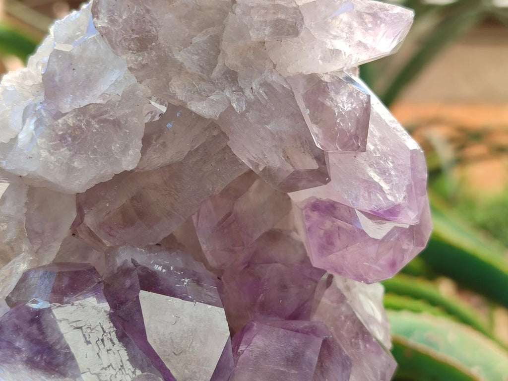 Natural Jacaranda Amethyst Clusters x 2 From Mumbwa, Zambia