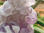 Natural Jacaranda Amethyst Clusters x 2 From Mumbwa, Zambia
