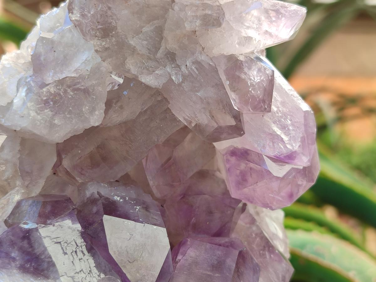 Natural Jacaranda Amethyst Clusters x 2 From Mumbwa, Zambia
