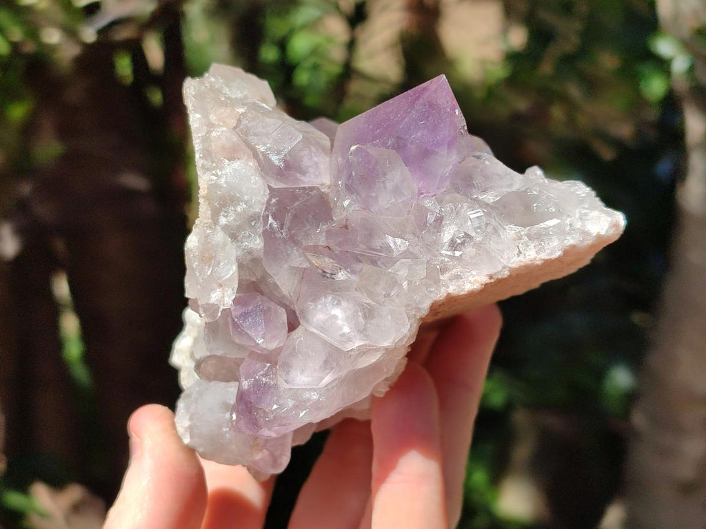 Natural Jacaranda Amethyst Clusters x 2 From Mumbwa, Zambia