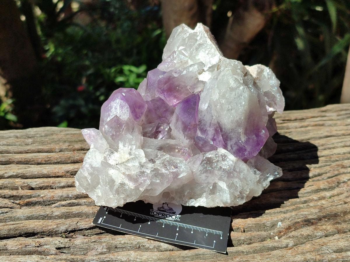 Natural Jacaranda Amethyst Clusters x 2 From Mumbwa, Zambia